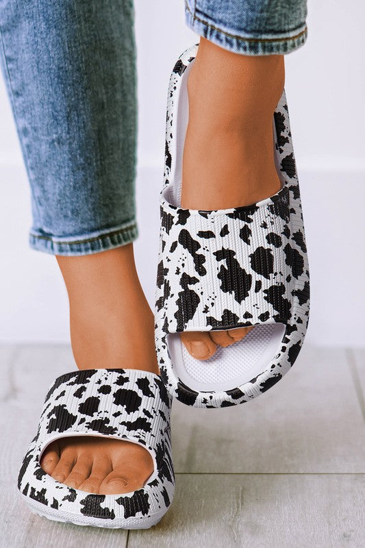 Cow Slides