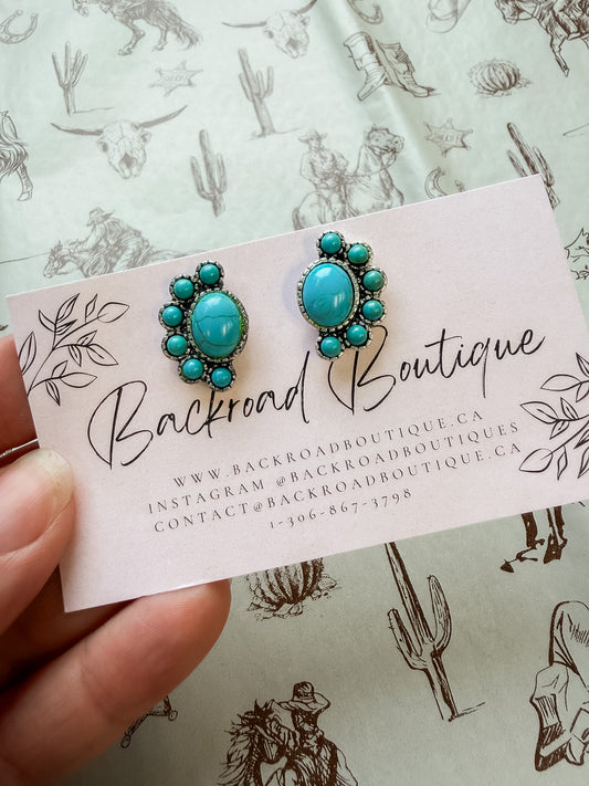 Earrings 23